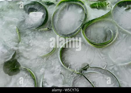 Hintergrund der Haut und Stück frisches szucchini in Ice Cube mit Luftblasen Stockfoto