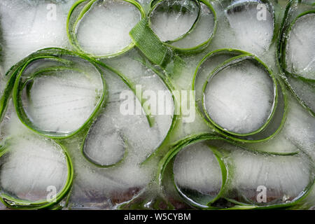 Hintergrund der Haut und Stück frisches szucchini in Ice Cube mit Luftblasen Stockfoto