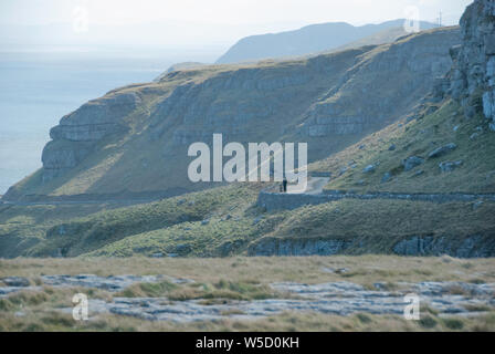 Llandudno Pier und Strand Stockfoto