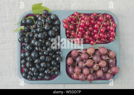 Schüssel mit einer Vielzahl von Beeren auf Tisch. Stachelbeere und Johannisbeere Beeren. Stockfoto