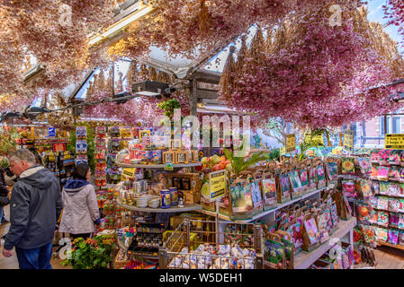 Bloemenmarkt, der schwimmende Blumenmarkt in Amsterdam, Niederlande Stockfoto