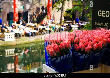 UTRECHT, NIEDERLANDE - 20. Oktober. 2018: Blick auf Blumensträuße rosa Tulpen in der Nähe von Wasser Kanal auf den Blumenmarkt. Stockfoto