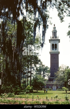 Hohe Bäume tropfende mit spanischem Moos Frame die Stephen Foster Memorial Carillon, einer 200 Fuß (61 Meter) Tower Gehäuse 97 Röhrenglocken, die Lieder des berühmten amerikanischen Komponisten jeden Tag am Stephen Foster Folk Culture Center State Park in White Springs, Florida, USA spielen. Unter den Tunes ist "Old Folks At Home", häufiger von den Worten seiner ersten Zeile bekannt,' Weise auf die Suwannee River.' Es ist die offizielle staatliche Song von Florida. Dieser amerikanischen Carillon hat der größte Tubular Bells in der Welt und ist unterhaltsam Besucher in den Park seit 1957. Stockfoto