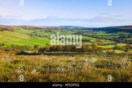 Blick über das Tal von glaisdale mit Trockenmauern, Felder und Heideflächen in der North York Moors im Herbst, Glaisdale, Yorkshire, Großbritannien.