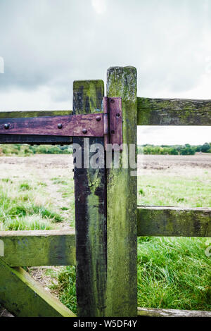 Alte hölzerne Tor mit rostigen Scharniere, die zu einem Feld in der Nähe von Consett, County Durham, England, Großbritannien Stockfoto