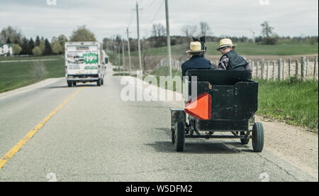 Zwei Mennoniten Jungs fahren ein Pferd Buggy auf der Seite der Straße im südlichen Ontario. Ein Blick zurück auf mich zu und er trägt eine Sonnenbrille. Stockfoto