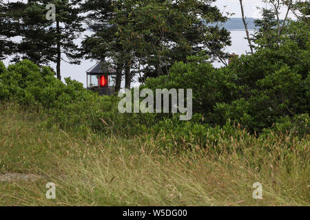 BASS Harbor, Maine, USA - 8. JULI 2013: Bass Harbor Leuchtturm mit Blick auf den Atlantischen Ozean zwischen Bäumen. Stockfoto