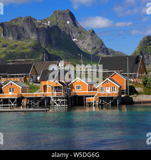 Traditionelle gelb bunte norwegische Fischerei Häuser in Sakrisøy Insel, Reine, Lofoten in Nordnorwegen Stockfoto