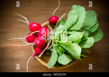 Frische organische rote Radieschen mit Blättern auf einen hölzernen Tisch Stockfoto