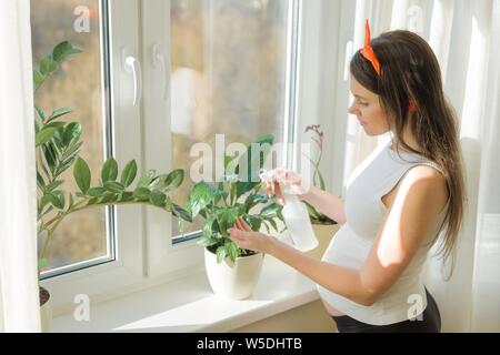 Junge schöne schwangere Frau zu Hause in der Nähe der Fenster Pflege für Pflanzen, Kopie Raum Stockfoto