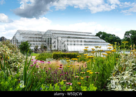 Das Glasshouse in RHS Wisley. Gemischte Sommer Blumenrabatten im Vordergrund. Stockfoto