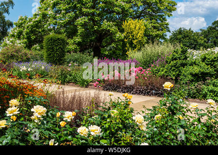 Die Bowes-Lyon Rosengarten, RHS Wisley, Royal Horticultural Society. Englisch Rose Garden. Stockfoto