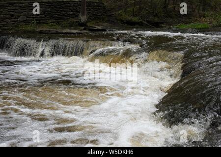 Subtile Schönheit kann in Letchworth State Park gefunden werden. Stockfoto