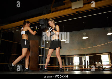 In voller Länge Porträt von zwei weiblichen Boxer üben im Ring, Platz kopieren Stockfoto