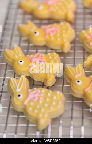 Ostern Sugar Cookies mit Royal Vereisung von verschiedenen Farben dekoriert. Stockfoto