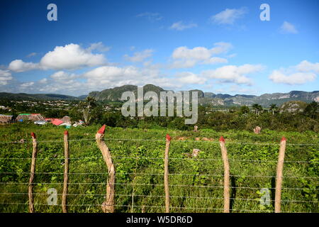 Landschaft Viñales Tal Stockfoto