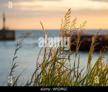 Ceredigiong, Aberystwyth, Wales. Stockfoto