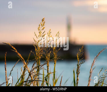 Ceredigiong, Aberystwyth, Wales. Stockfoto