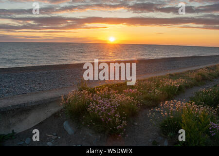 Ceredigiong, Aberystwyth, Wales. Stockfoto