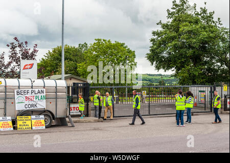 Bandon, West Cork, Irland. Juli 2019. Wütende Bauern aus West Cork begannen heute vor den Toren von ABP Foods, dem Schlachthaus in Bandon, einen Protest. Die Landwirte protestieren gegen die schlechten Preise von ABP Foods. Die Bauern sagen, sie bleiben vor den Toren, bis sich die Situation verbessert. . Credit: AG News/Alamy Live News Stockfoto