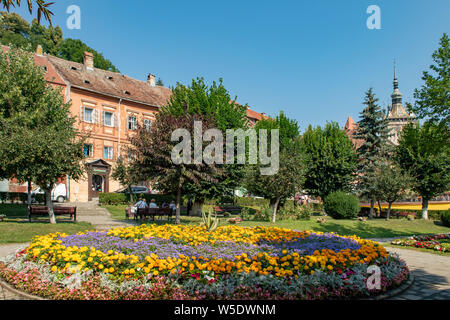 In Herman Oberth Square, Alte Sighioara, Rumänien Blumenbeet Stockfoto