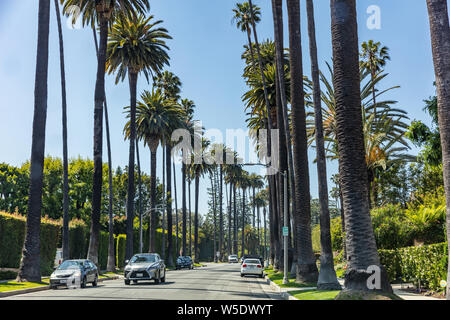 Los Angeles, Kalifornien, USA. 31. Mai 2019. Beverly Hills, Palmen und blauer Himmel. Sonniger Frühlingstag. Stockfoto