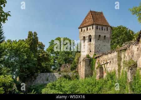 Der Spengler Tower, alte Sighiora, Rumänien Stockfoto