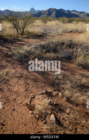 Steine, die auf Spuren gelegt wurden Schmuggler zu führen, bleiben auf nicht genutzten Routen auf dem Buenos Aires National Wildlife Refuge, westlich von SR 286 ca. 20 km Stockfoto