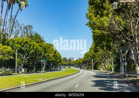 Los Angeles, Kalifornien, USA. 31. Mai 2019. Beverly Hills, Palm drive Zeichen, Bäume und blauer Himmel. Sonniger Frühlingstag. Stockfoto
