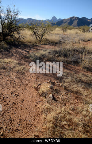 Steine, die auf Spuren gelegt wurden Schmuggler zu führen, bleiben auf nicht genutzten Routen auf dem Buenos Aires National Wildlife Refuge, westlich von SR 286 ca. 20 km Stockfoto