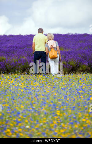 Mann und Frau halten sich an den Händen an bunten Lavendel und wilde Blume Felder im Cotswold Lavendel in der Nähe von Broadway Worcestershire, England Großbritannien Stockfoto