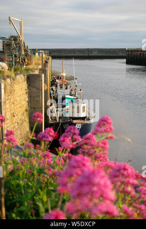 Ceredigiong, Aberystwyth, Wales. Stockfoto
