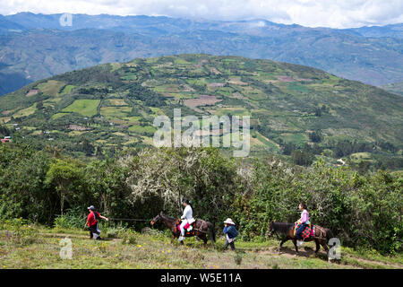 Festung Kuelap, Chachapoyas, 6.-16. Jahrhundert, selten besucht, abseits der ausgetretenen Pfade, 3000 m hoch, befestigte Stadt, Cloud Warriors, Norden von Peru, Südamerika Stockfoto