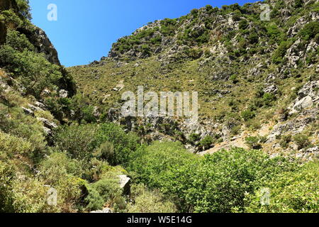 Trail in Kollita Schluchten (Moudriano, Poros, Moundros Schlucht), Kreta in Griechenland Stockfoto