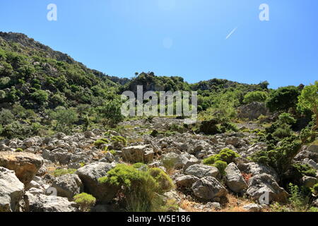 Trail in Kollita Schluchten (Moudriano, Poros, Moundros Schlucht), Kreta in Griechenland Stockfoto