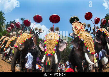 Das Bild des Verzierten Elefanten wurde in Thrissur Pooram Festival in Thrissur, Kerala Indien, aufgenommen Stockfoto