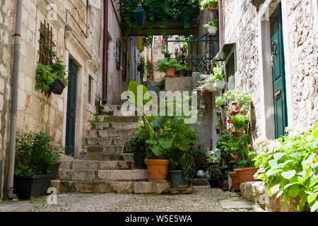 Grüne Pflanzen an einem historischen Treppe zwischen den Häusern in der Altstadt von Dubrovnik. Stockfoto