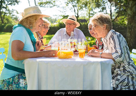 Ältere Freunde mit Picknick im Park an einem sonnigen Tag. Sitzen um den Tisch im Freien, vier Frauen und ein Mann Plaudern, trinken Orangensaft und Hav Stockfoto