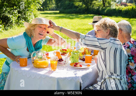 Ältere Freunde mit Picknick im sonnigen üppigen Natur. Positive alte Dame mit Hut öffnet ihren Mund und ihre Freundin füttert ihr mit Cherry Stockfoto