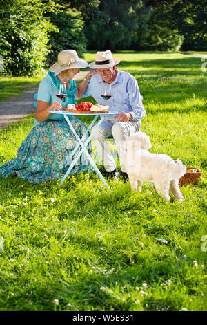 Gerne ältere Paare genießen ihre Reden. Älterer Mann und seine Freundin mit einem weißen Hund sitzen im Park beim Picknick mit Käse, Weintrauben und Stockfoto