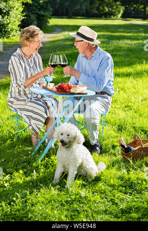 Gerne älteres Paar bei einem Picknick im Park. Das sitzen an einem Tisch, einem weißen niedlichen Hund vor Ihnen. Rotwein Gläser klirren und sprechen gerne. Stockfoto