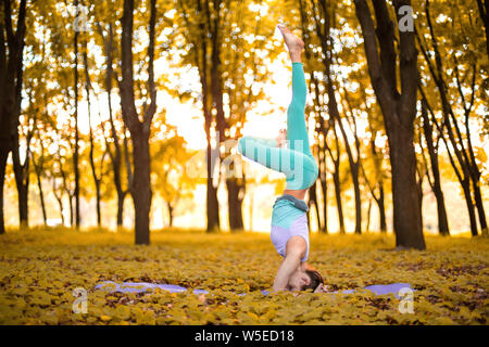 Dünne brünette Mädchen spielt Sport und führt Yoga im Herbst Park stellt auf einen Sonnenuntergang Hintergrund. Frau Übungen auf der Yogamatte. Herbst Wald. S Stockfoto