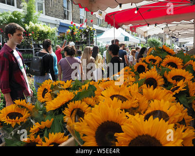 Anzeigen von Sonnenblumen zum Verkauf auf einen Markt in der beliebten Columbia Road Blumenmarkt in Bethnal Green in London Abschaltdruck Stockfoto