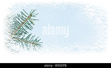 Christamas Ast mit Schneefall in der Ecke der horizontalen banner Hintergrund abgedeckt. Stockfoto