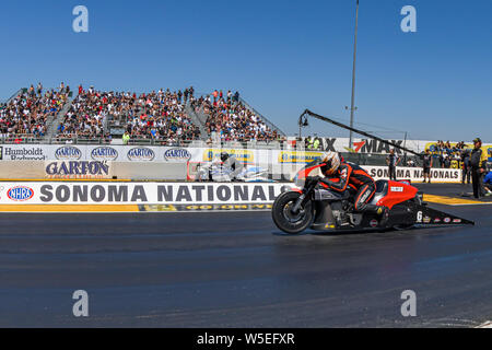 Sonoma, Kalifornien, USA. 28. Juli 2019. Andrew Hines (linke Spur) startet seine Harley Davidson seine semi-finale während der Nhra Sonoma Bürger gewinnen an der Sonoma Raceway in Sonoma, Kalifornien. Chris Brown/CSM/Alamy leben Nachrichten Stockfoto