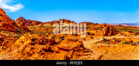 Die hellen roten Aztec Sandstein Felsformationen im Valley of Fire State Park in Nevada, USA Stockfoto