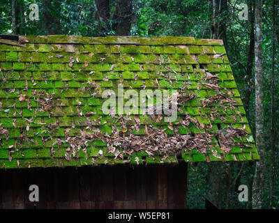 Alte dach haus mit Moos bedeckt Stockfoto