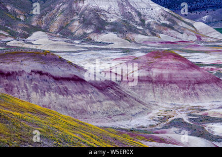 Des Oregon Painted Hills ist eine der drei Einheiten der John Day Fossil Beds National Monument, im Wheeler County, Oregon. Es Gesamt 3,132 acr Stockfoto