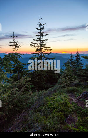 Schöne Sicht auf die amerikanische Landschaft während einer lebendigen, farbenfrohen Sommer Sonnenuntergang. Von Sun Top Lookout, Mt Rainier National Park, So Stockfoto