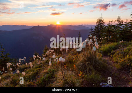 Schöne Sicht auf die amerikanische Landschaft während einer lebendigen, farbenfrohen Sommer Sonnenuntergang. Von Sun Top Lookout, Mt Rainier National Park, So Stockfoto